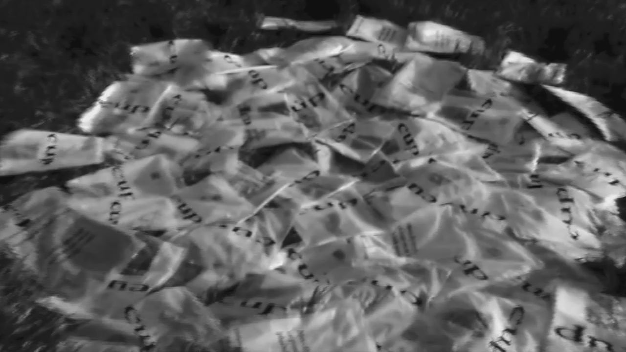 Charger la vidéo : 